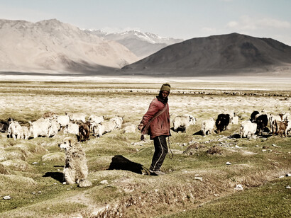 Pastoral landscapes and lifestyles in Ladakh, threatened by climate change and a mega-solar project @ Ashish Kothari