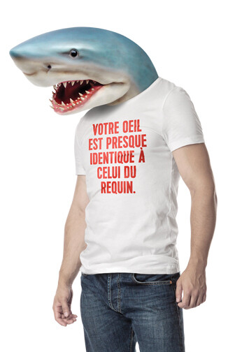 Human. Courtesy of Centre Des Sciences De Montréal