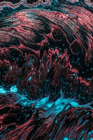 The nature of consciousness