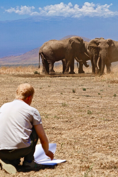 A Memory of Elephants. Courtesy of John Martin Gallery