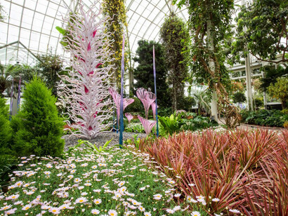 Chihuly. Courtesy of NTBG