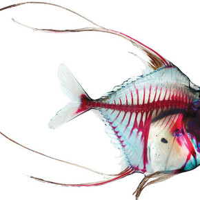 No Man's Land. Courtesy of Mudam Luxembourg