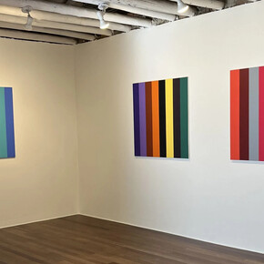 Fernando Uhía, Bipolares o Jurassic lines, vista de exhibición. Cortesía de Galería Nueveochenta