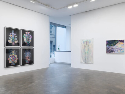 Saya Woolfalk, The woods woman method, exhibition view. Courtesy of Susan Inglett Gallery