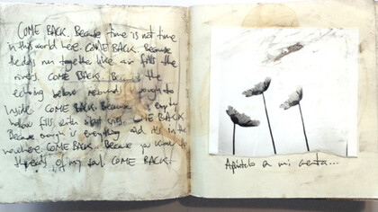 Juanan Requena, Diary #32 - 21