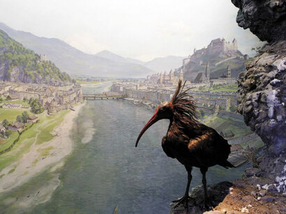 Habitats Diorama. Courtesy of Haus der Natur 