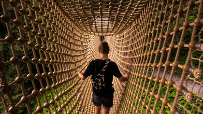 La función consciente de nuestra mente tiene, como único objetivo, la obtención de algo: una cosa, una idea, un sentimiento