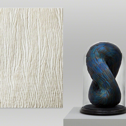 Reflections. Courtesy of Puerta Roja