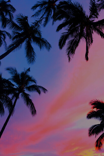 Goderti il senso della vista, del suono, dell'olfatto e del tatto, senza un preciso proposito o un progetto