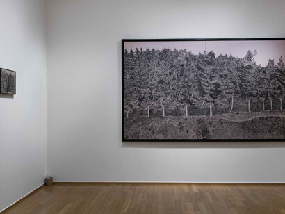 Various artists, La forêt. Solitudes et solidarités, exhibition view. Courtesy of Cercle Cité