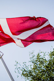 Denmark's flag