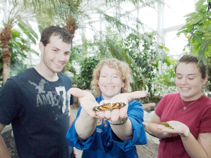 La Galerie des papillons F. Jean MacLeod. Courtesy of Science Nord