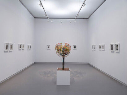 Christian Fogarolli, 2015, Phantom model of Prof. Chr. Aeby I, Amsterdam| Original model. Courtesy Vrolik Medical Center, Amsterdam. Exhibition view at de Appel arts centre, 2015, Amsterdam 
