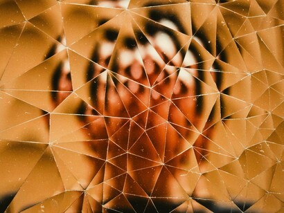 Consientes que el cristal impenetrable se trague cualquier vestigio de decoro