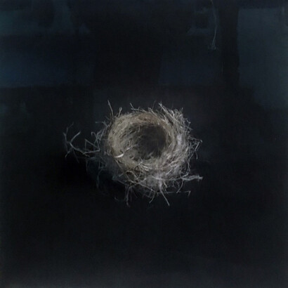 Nests. Courtesy of Brickworks Gallery