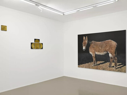 Youcef Korichi, Alidade de nuit, vue d'exposition. Avec l'aimable autorisation de Suzanne Tarasieve