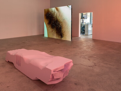 Shahryar Nashat. Courtesy of Swiss Institute