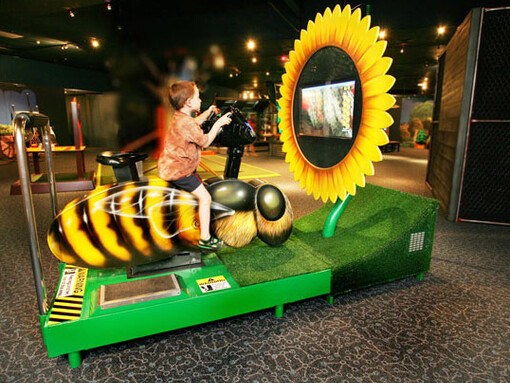 Backyard Adventures. Courtesy of Peggy Notebaert Nature Museum