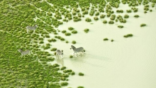 Zack Seckler, Botswana Bath 2009