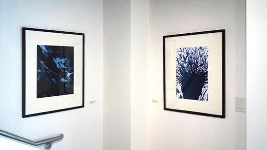 Secret Lives. Courtesy of George Lawson Gallery