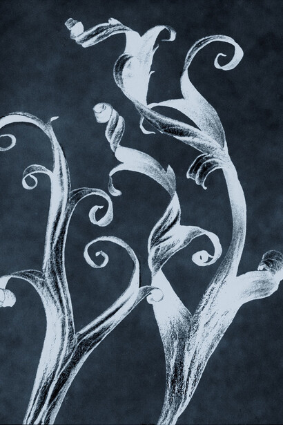 Thomas Ruff, neg◊stil_06, 2015, Chromogenic print, 11 9/16 × 8 13/16 inches (29.4 × 22.4 cm),
Ed. of 8, detail