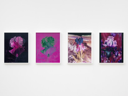 Lisa Oppenheim, exhibition view. Courtesy of Mudam