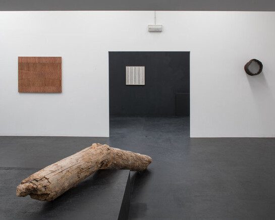 Locus Rei, Exhibition view. Courtesy of Galleria Doris Ghetta