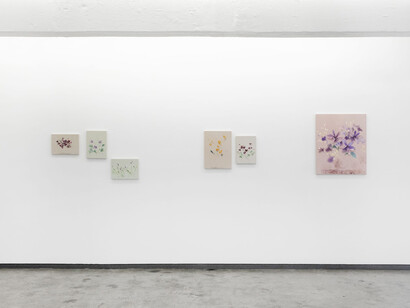 Atsuki Fujimoto, Sense of the wind, sunlight, serene place, exhibition view. Courtesy of Saenger Gallery