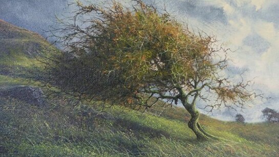 Gerald Dewsbury, Hawthorne on arenig slopes