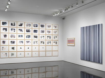 Gerhard Richter. Courtesy of Gagosian Gallery