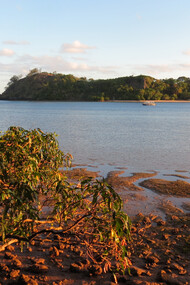 Isole Kadavu