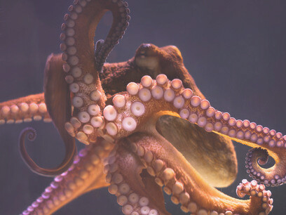 Credit card revolving credit was 192.94% in March 2013 and 257.10% in January 2021