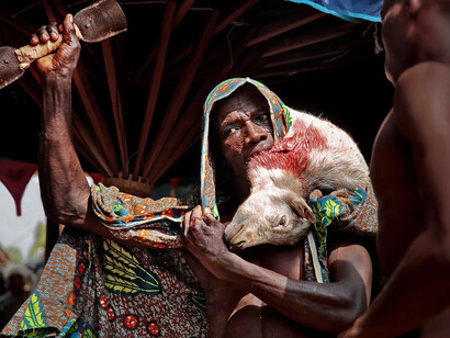 Un Feticheur, sacerdote Vodun, afferra con le sue fauci una capra appena sacrificata. La sua ferita mortale è un canale per l'aldilà attraverso la quale passerà un messaggio degli spiriti degli antenati.