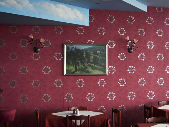 "Florina", 2010, inkjet print on archival paper, 52.5 X 69 cm, Ed. of 5. Courtesy of AlphaDelta Gallery 
