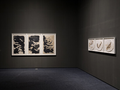 Ruma Choudhury, Elemental encounters: practice as ecological archive, exhibition view. Courtesy of Emami Art