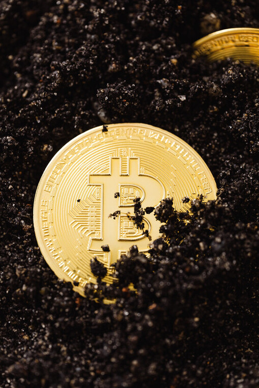 Moeda de Bitcoin sendo plantada como semente