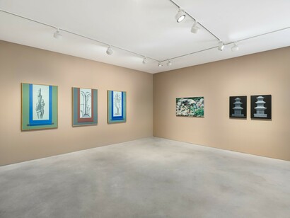 Park Chan-kyong, Zen master eyeball, exhibition view. Courtesy of Kukje Gallery
