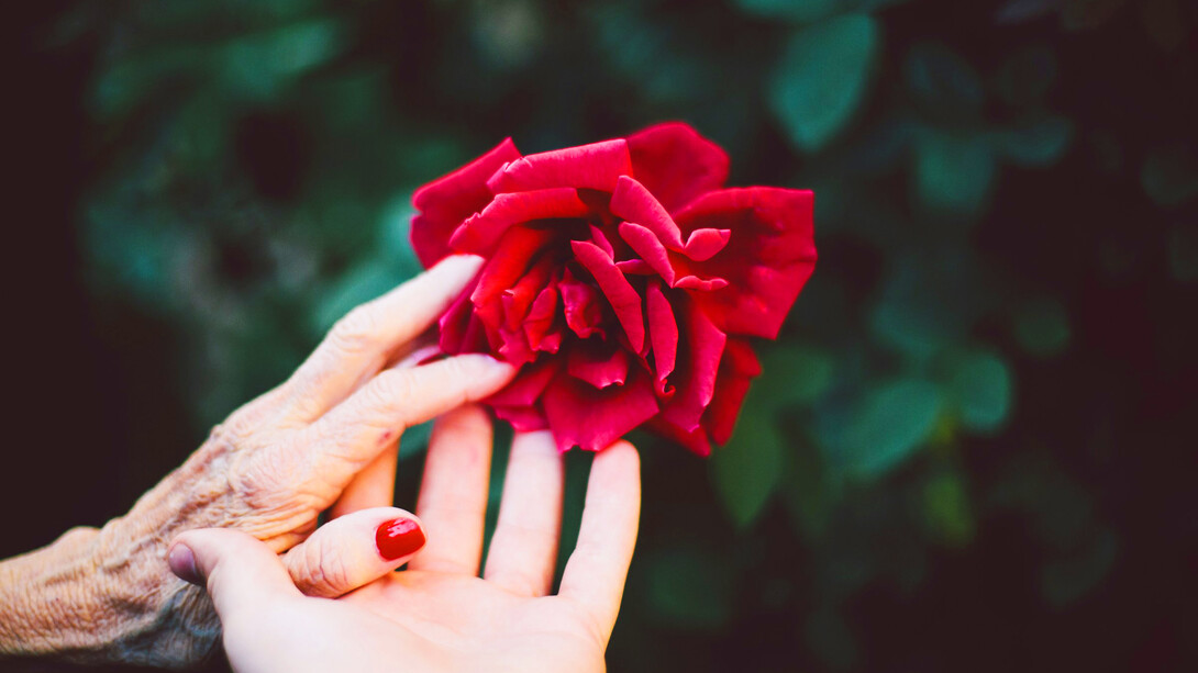 Hands connected on a flower; passion, free will, intelligence, and complex social lives are the elements of humanity