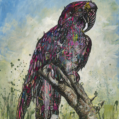 Katya Krasnaya, Ara ararauna