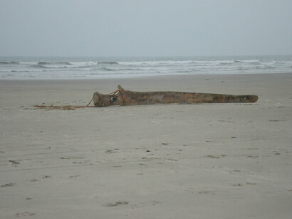 Lilian Colosso & Ariel Spadari