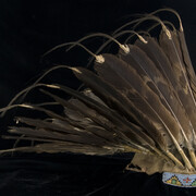 Wiyohpiyata: Lakota Images of the Contested West. Courtesy of Peabody Museum