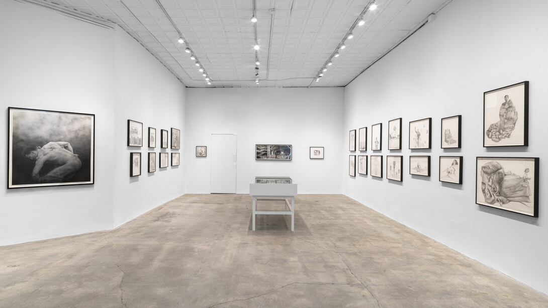 Jim Shaw, Drawings, exhibition view. Courtesy of Gagosian Gallery