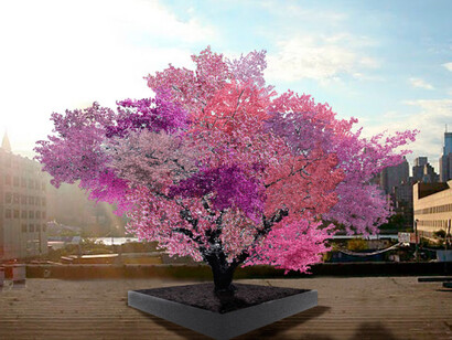 Nature. Courtesy of Cooper Hewitt