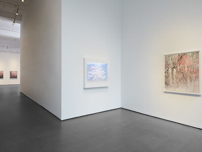 Lustre. Courtesy of Bryce Wolkowitz Gallery