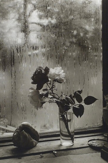  Josef Sudek, The Last Rose of Summer, from The Window of My Studio (detail), 1956. Gelatin silver print; printed c. 1960s-73, 11 1/2 x 9 1/4 in. (29.2 x 23.5 cm). Courtesy of Gitterman Gallery