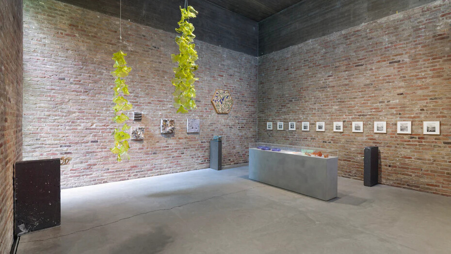 Tue Greenfort, Wunderkammer, exhibition view. Courtesy of König Galerie