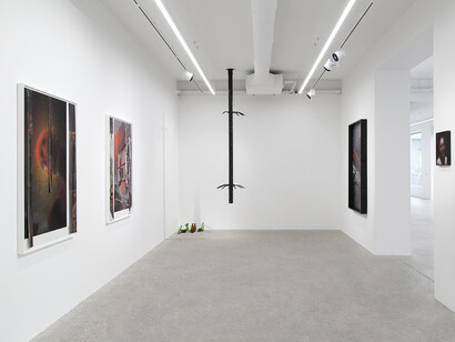Nicolas Lebeau, Would you wear my eyes? Vue de l'exposition. Avec l'aimable autorisation de la Galerie Kamel Mennour