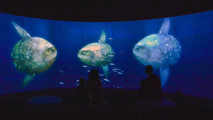 Unseen Oceans. Courtesy of American Museum of Natural History