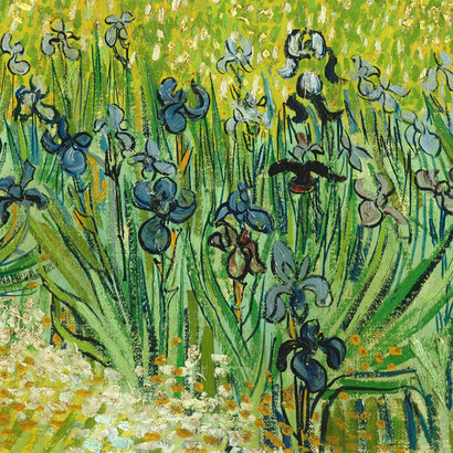 Vincent van Gogh; Campo con irises cerla de Arles, 1888 (detalle)