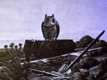 Las ruinas sienten la gravedad de la historia. Remiten a un modo de ser terrestre. El poder, en cambio, se ha vuelto líquido. Alexander Kluge: La Patriota (Die Patriotin) 1979. Escenas de la película